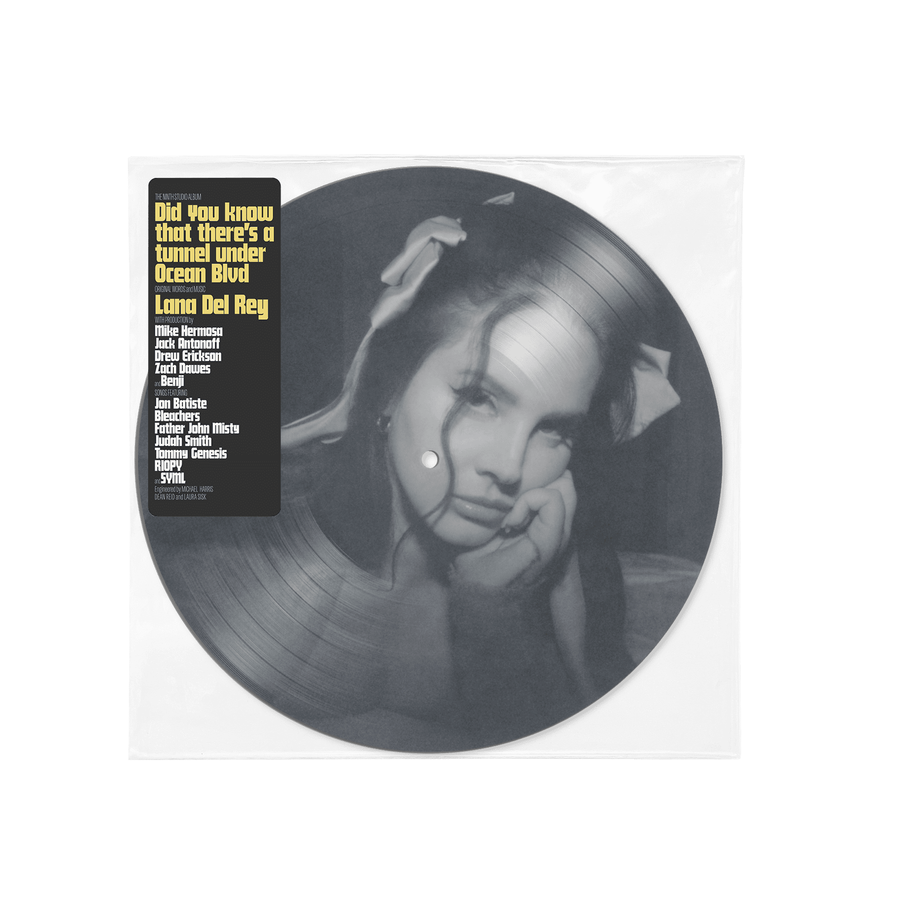 Did you know that there’s a tunnel under Ocean Blvd: Picture Disc Vinyl 2LP