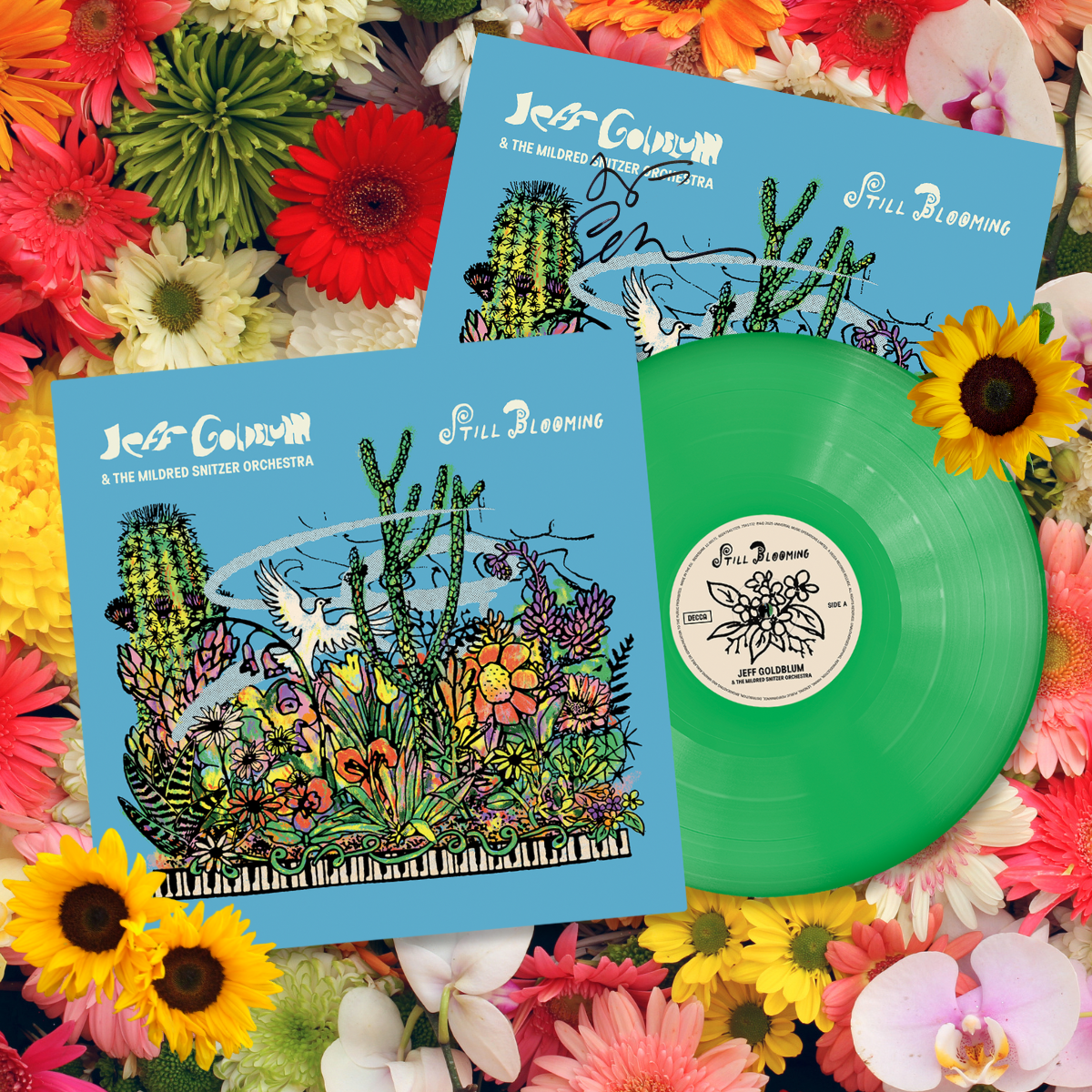 Still Blooming – Exclusive Vinyl (Signed)