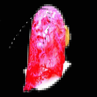 Thomas De Quincey, Suspiria De Profundis: Coloured Vinyl 7″ Single [RSD19]